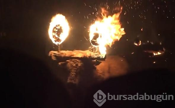 Diri diri yaktılar! Vahşi görüntülere tepki
