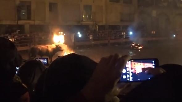 Diri diri yaktılar! Vahşi görüntülere tepki
