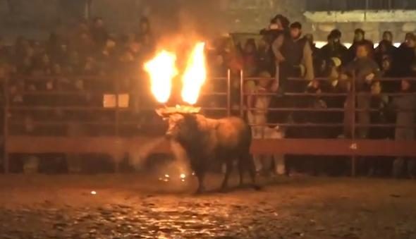 Diri diri yaktılar! Vahşi görüntülere tepki
