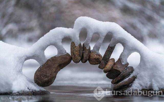 Günün en çok paylaşılan fotoğrafları (22.11.2018)