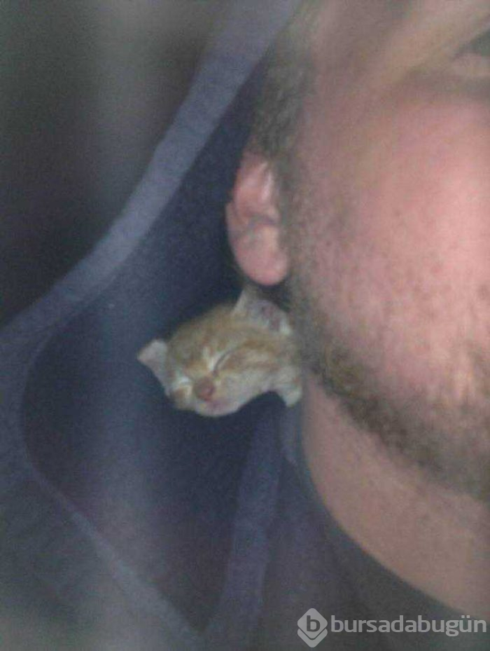Günün en çok paylaşılan fotoğrafları (22.11.2018)