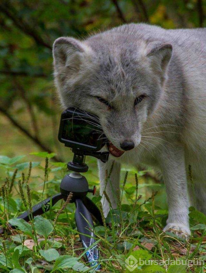 Günün en çok paylaşılan fotoğrafları (22.11.2018)
