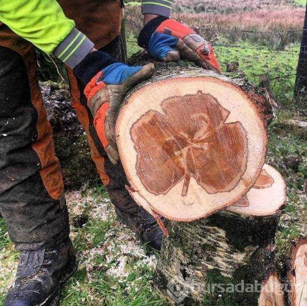 Günün en çok paylaşılan fotoğrafları (22.11.2018)