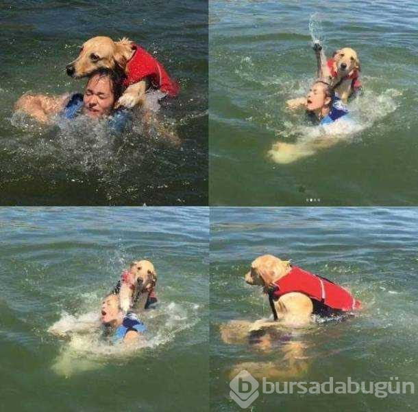 Günün en çok paylaşılan fotoğrafları (22.11.2018)
