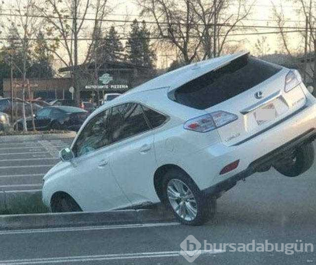 Günün en çok paylaşılan fotoğrafları (22.11.2018)