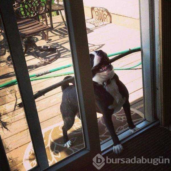 Günün en çok paylaşılan fotoğrafları (22.11.2018)