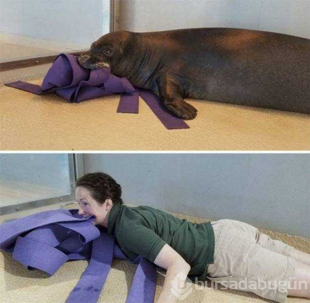 Canı sıkılan insanların güldüren anları
