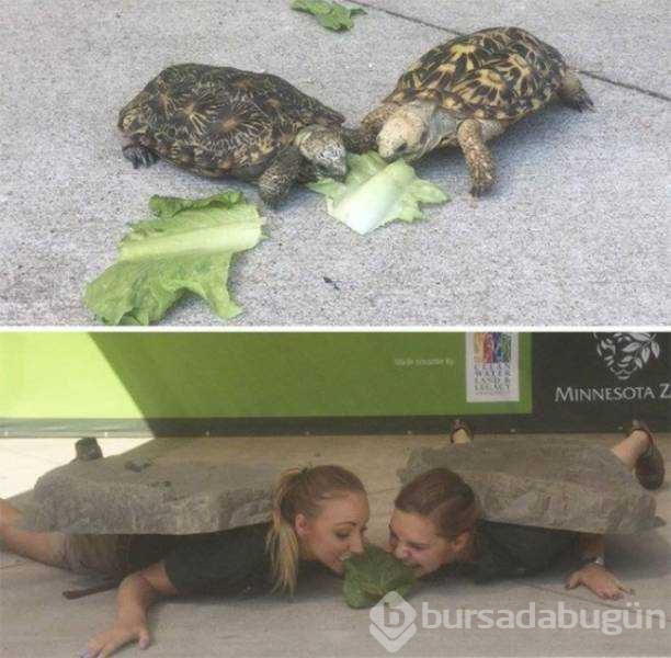 Canı sıkılan insanların güldüren anları
