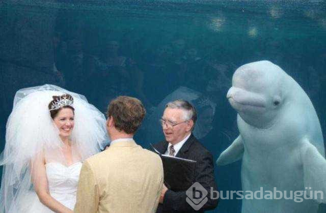 Unutulmaz düğün fotoğrafları
