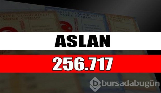 En çok kullanılan soyisimler
