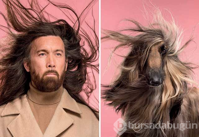 Sahibine benzeyen köpeklerden şaşırtıcı fotoğraflar