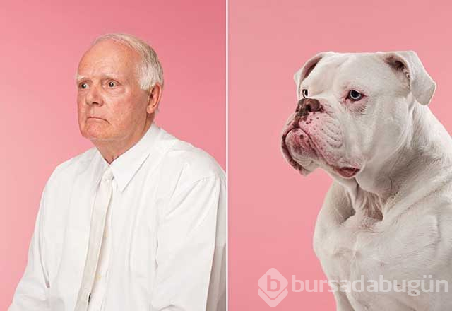 Sahibine benzeyen köpeklerden şaşırtıcı fotoğraflar