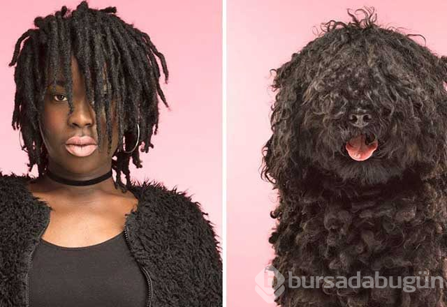 Sahibine benzeyen köpeklerden şaşırtıcı fotoğraflar