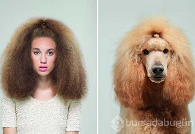 Sahibine benzeyen köpeklerden şaşırtıcı fotoğraflar