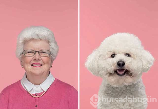 Sahibine benzeyen köpeklerden şaşırtıcı fotoğraflar
