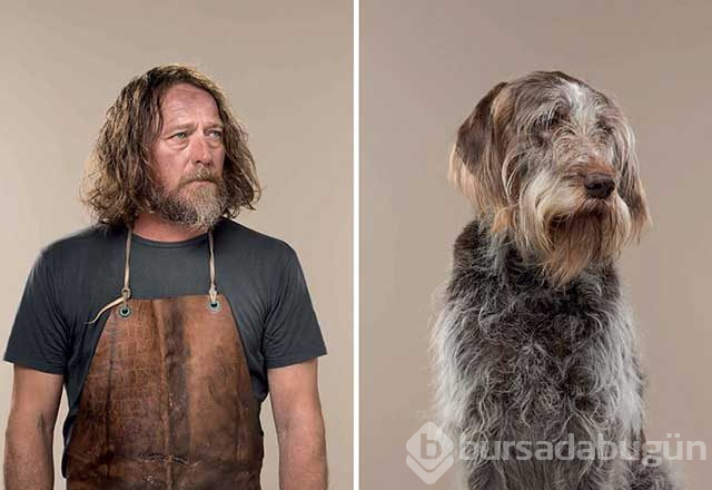 Sahibine benzeyen köpeklerden şaşırtıcı fotoğraflar