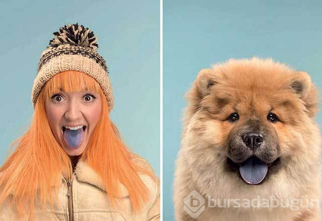 Sahibine benzeyen köpeklerden şaşırtıcı fotoğraflar