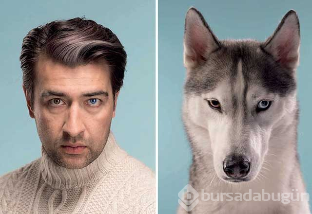 Sahibine benzeyen köpeklerden şaşırtıcı fotoğraflar