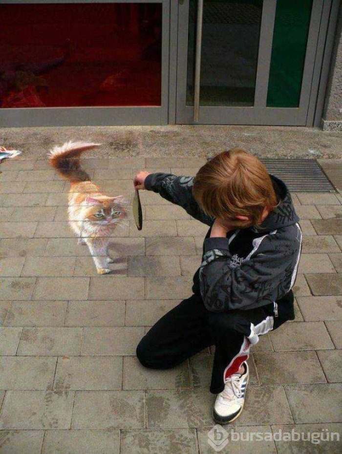 Günün en çok paylaşılan fotoğrafları (23.11.2018)