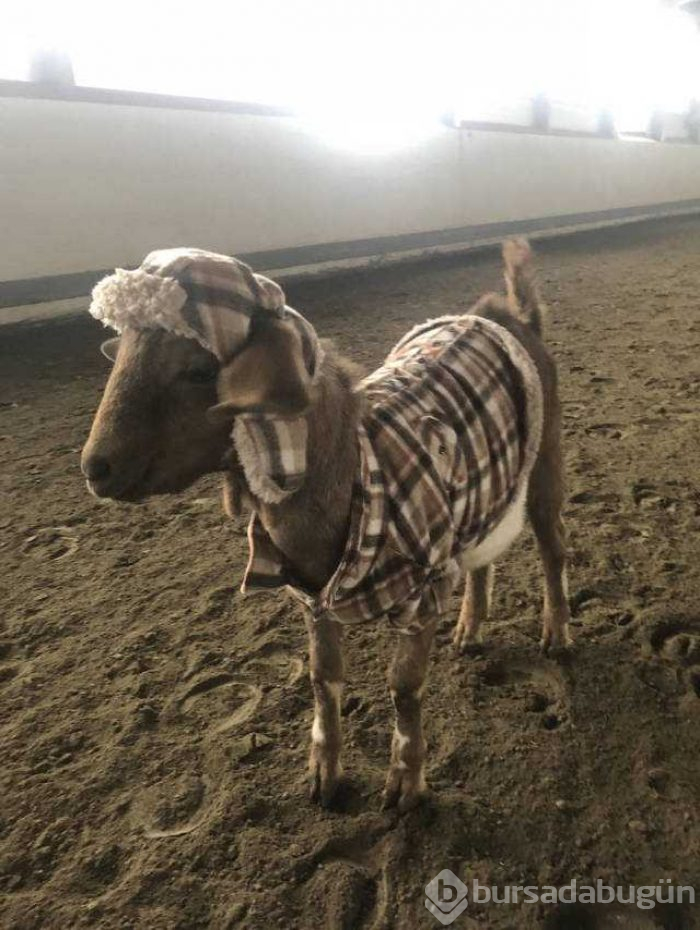 Günün en çok paylaşılan fotoğrafları (23.11.2018)