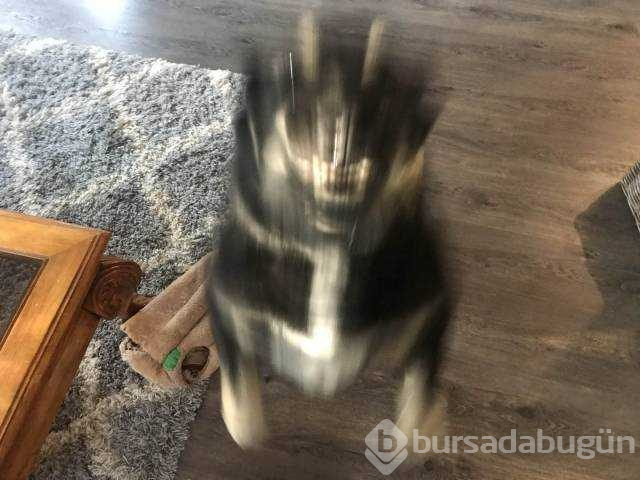Günün en çok paylaşılan fotoğrafları (23.11.2018)