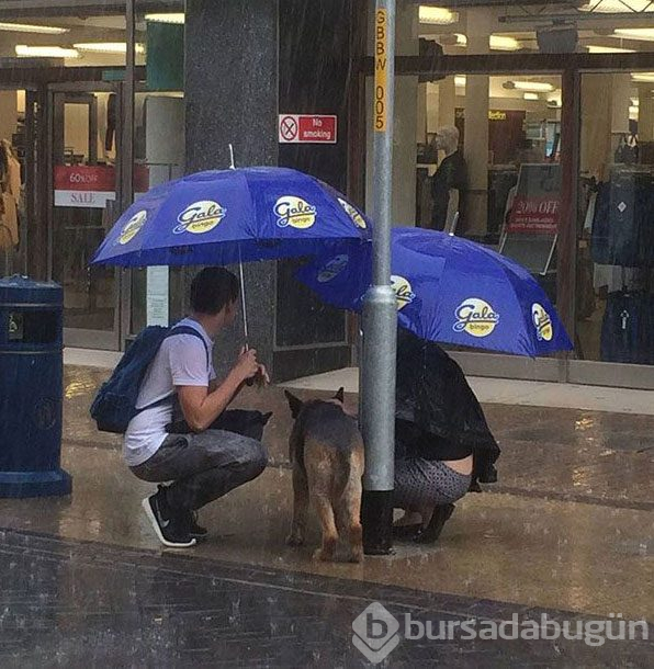 Bu fotoğraflar içinizi ısıtacak
