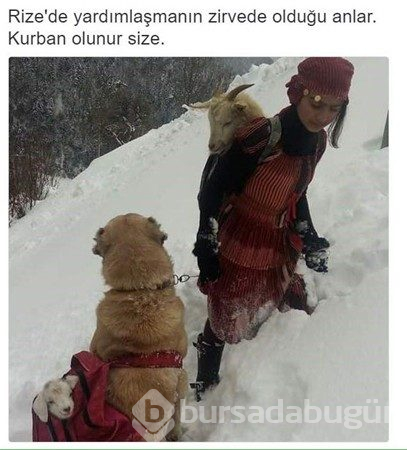 Bu fotoğraflar içinizi ısıtacak
