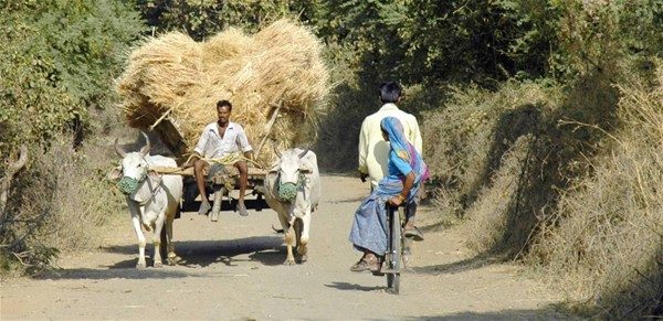 Bu fotoğraflar içinizi ısıtacak
