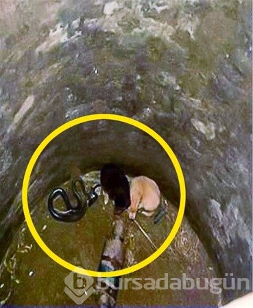 Bu fotoğraflar içinizi ısıtacak
