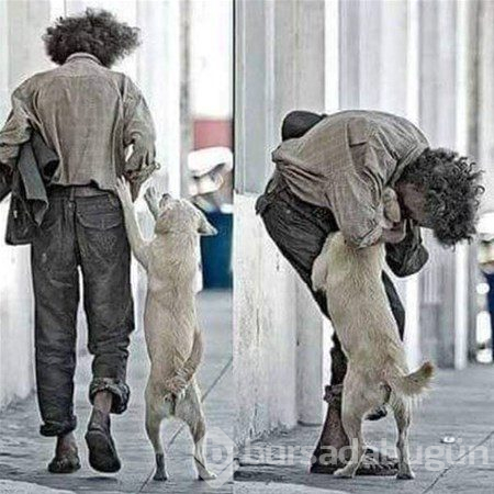 Bu fotoğraflar içinizi ısıtacak
