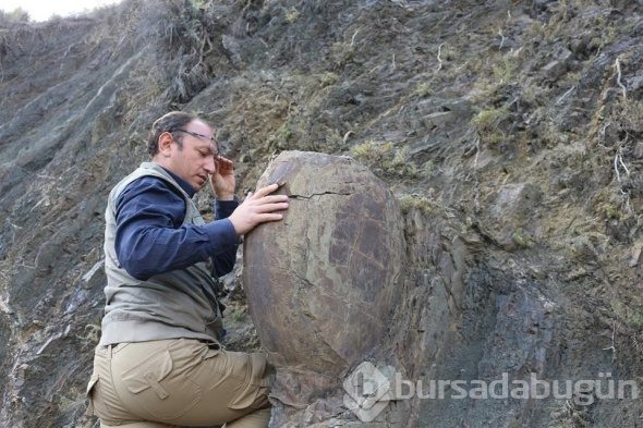 Görenleri şaşkına çevirdi! Yerinden çıkarılamayınca...
