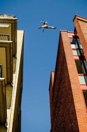 1 saniye sonrasını merak edeceğiniz fotoğraflar
