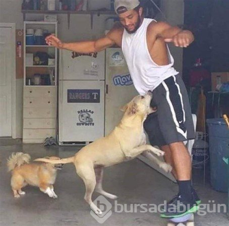 1 saniye sonrasını merak edeceğiniz fotoğraflar
