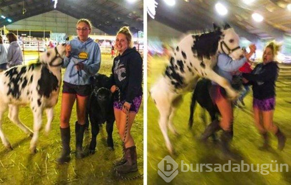 1 saniye sonrasını merak edeceğiniz fotoğraflar
