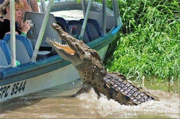 1 saniye sonrasını merak edeceğiniz fotoğraflar
