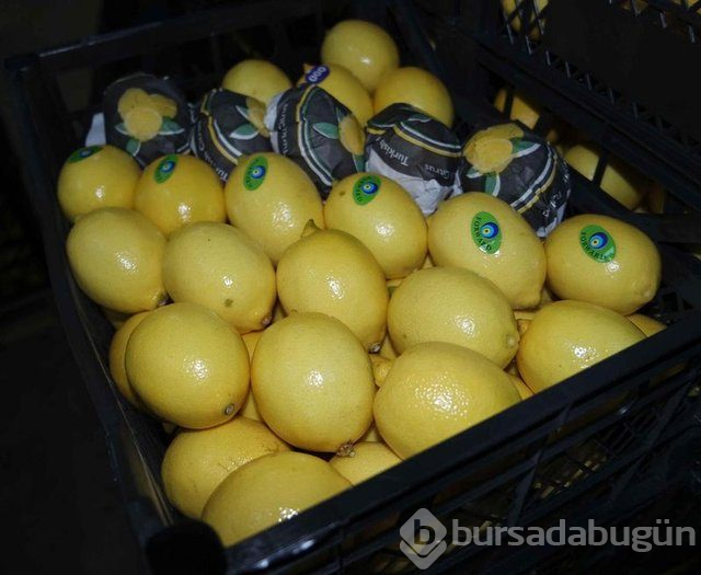 Limon dilimleriyle uyumanın faydaları nelerdir?
