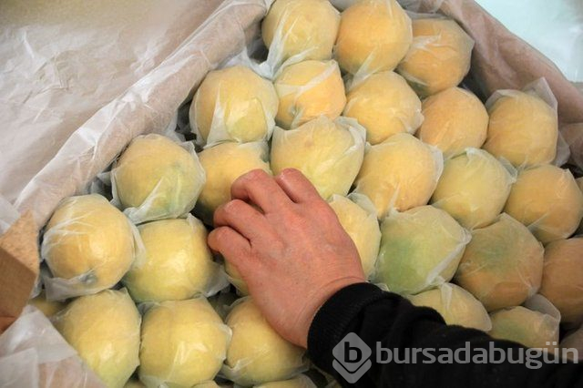 Limon dilimleriyle uyumanın faydaları nelerdir?
