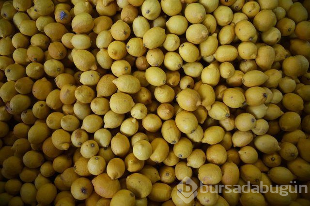 Limon dilimleriyle uyumanın faydaları nelerdir?
