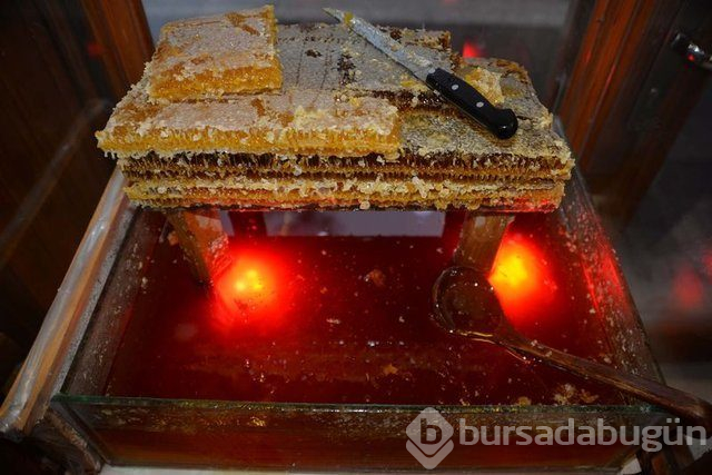 Kur'an'da adı geçen mucizevi besinler
