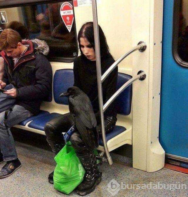 Dünyanın en garip yolcuları
