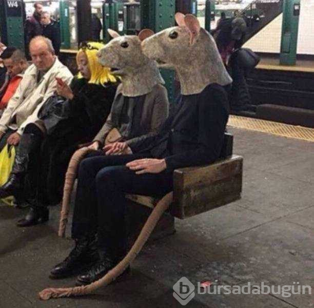 Dünyanın en garip yolcuları
