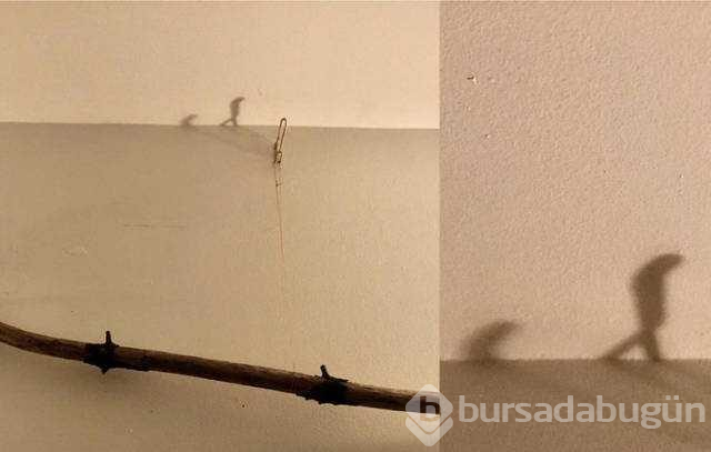 Dikkatli gözlerden kaçmayan birbirinden ilginç gölgeler
