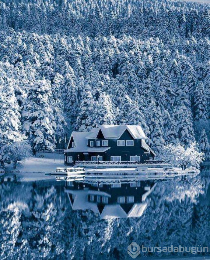 Günün en çok paylaşılan fotoğrafları (28.11.2018)
