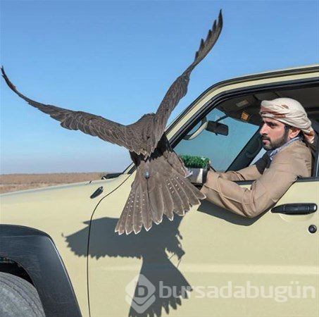Dubai`nin Veliaht Prensinin günlük yaşamı
