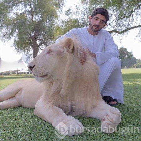 Dubai`nin Veliaht Prensinin günlük yaşamı
