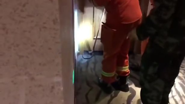 "Ya tecavüz, ya yılan" dedi, kendi sokuldu!