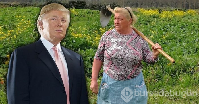 Donald Trump: Gençliğimde beni Elvis Presley'e benzetirlerdi (Birbirine ikiz kadar benzeyen ünlüler)