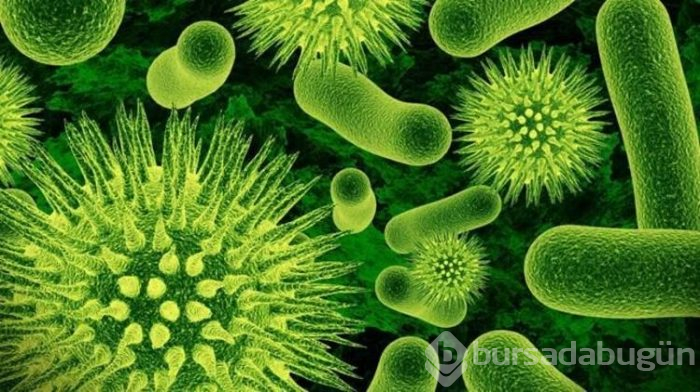 OECD'den "antibiyotiklere dirençli bakteri" uyarısı (Türkiye riskli ülkeler arasında)