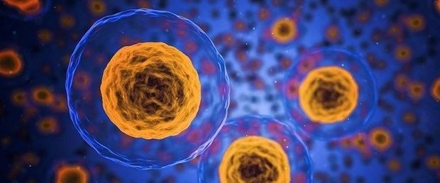 Yaşlandığınızı gösteren 9 biyolojik belirti