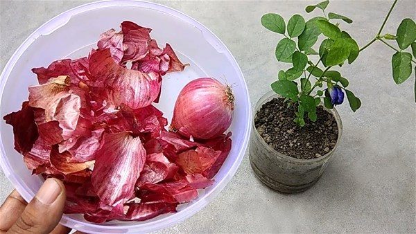 Bunları biliyor musunuz?